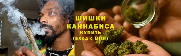 дмт Пенза