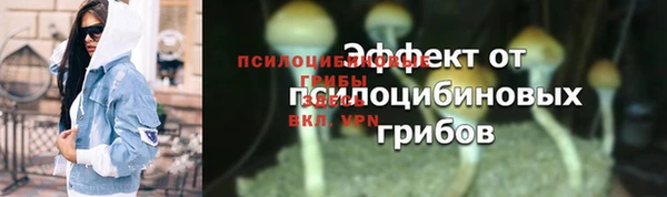 дмт Пенза
