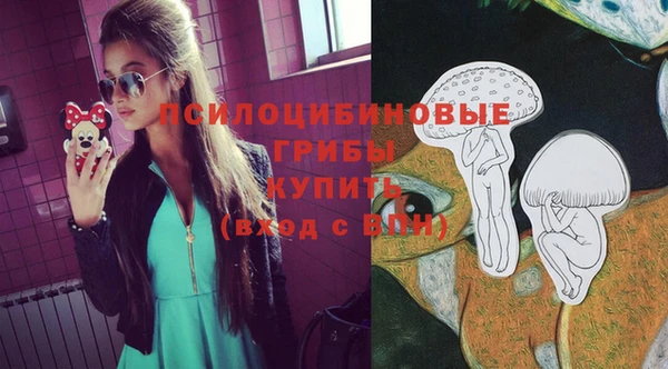 ГАЛЛЮЦИНОГЕННЫЕ ГРИБЫ Медвежьегорск