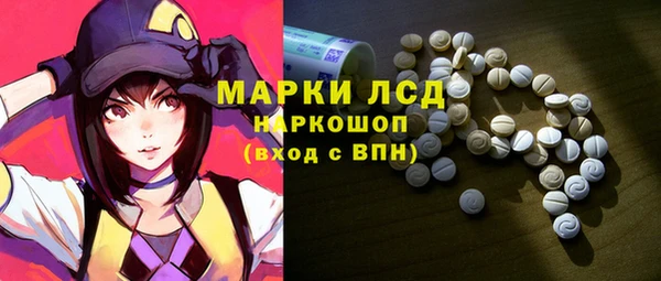 ГАЛЛЮЦИНОГЕННЫЕ ГРИБЫ Медвежьегорск