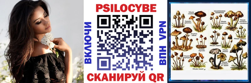 дарк нет формула  Новосокольники  Псилоцибиновые грибы GOLDEN TEACHER  дарнет шоп 